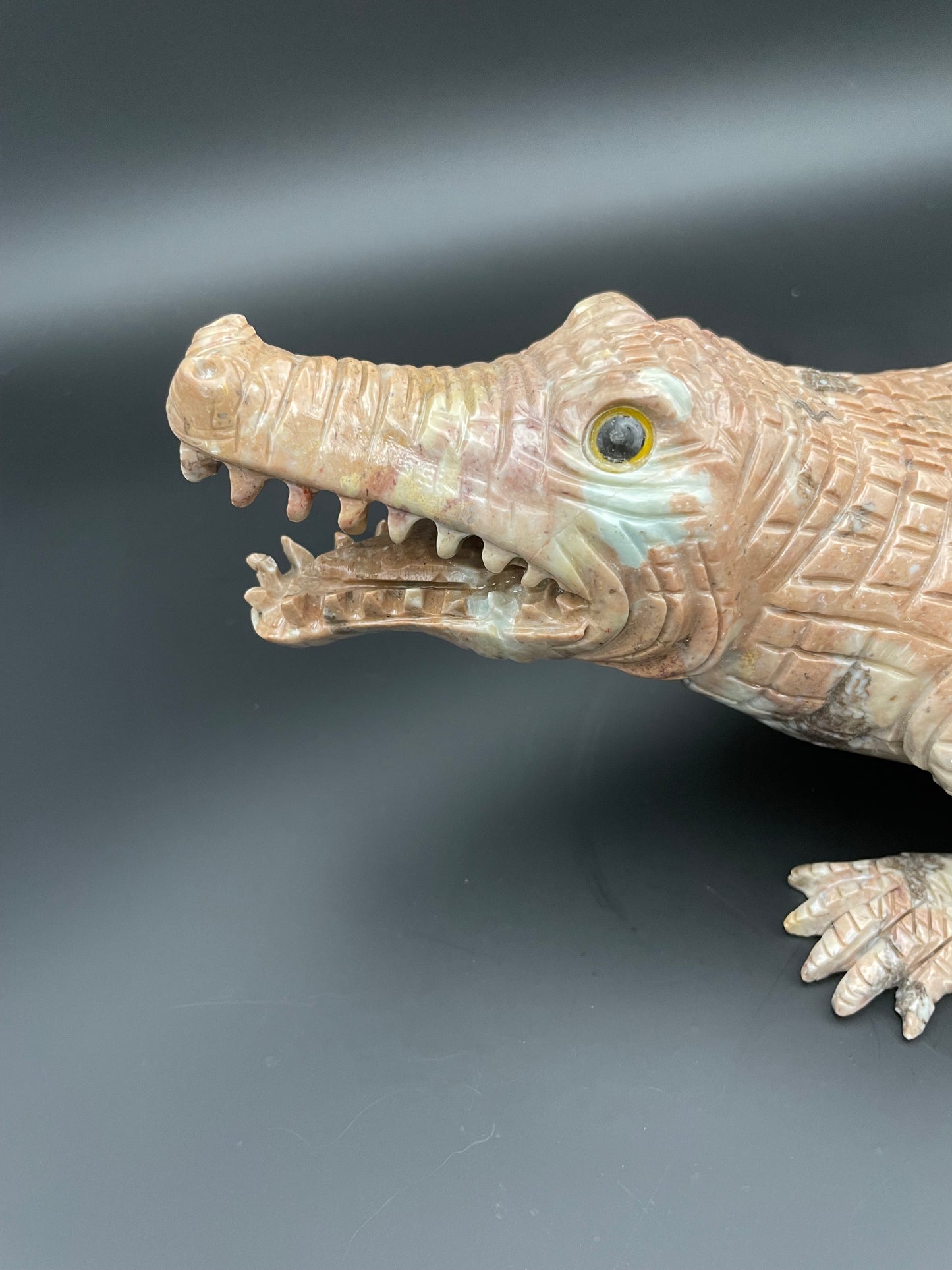 Animaux- Crocodile