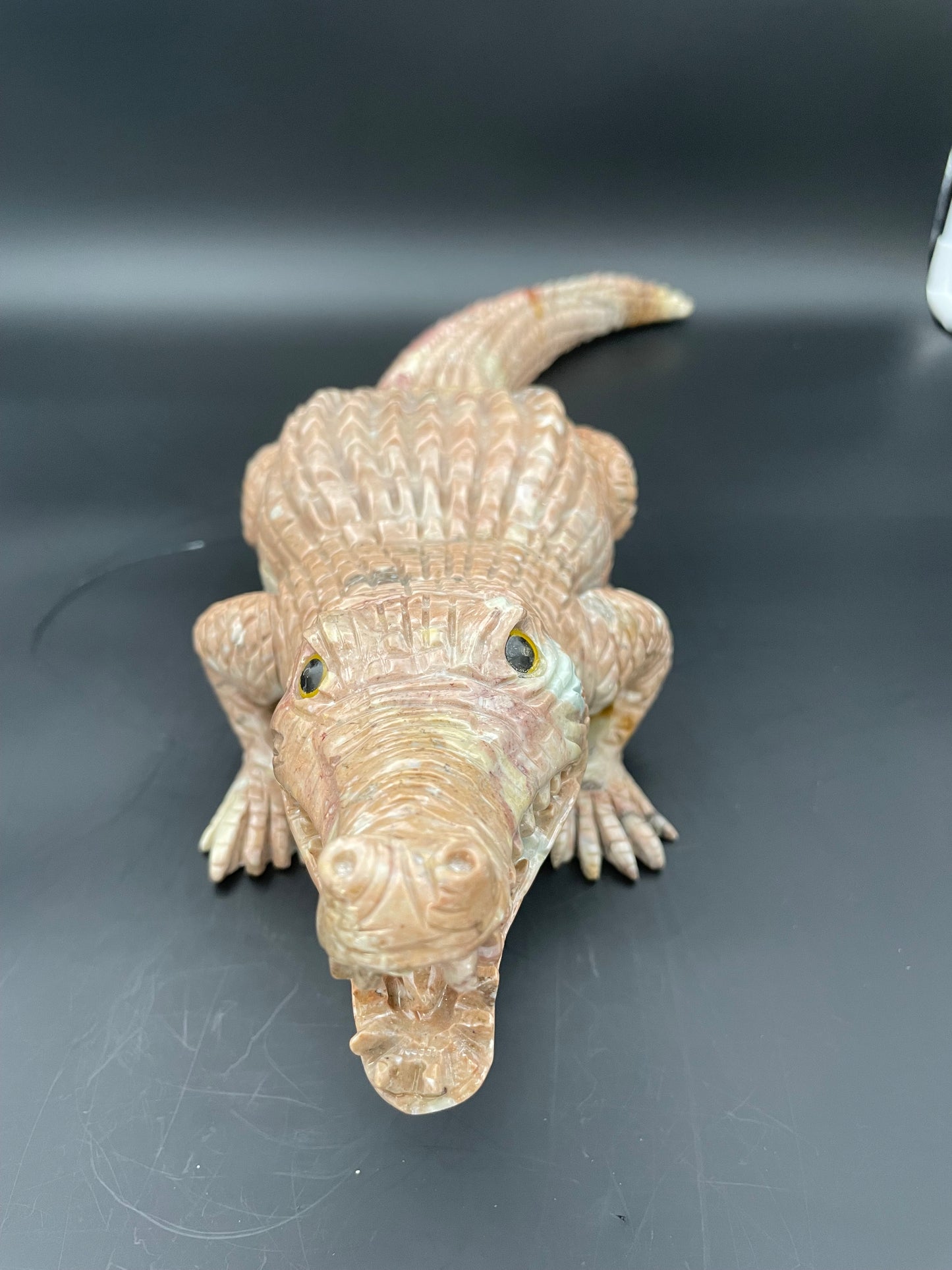 Animaux- Crocodile