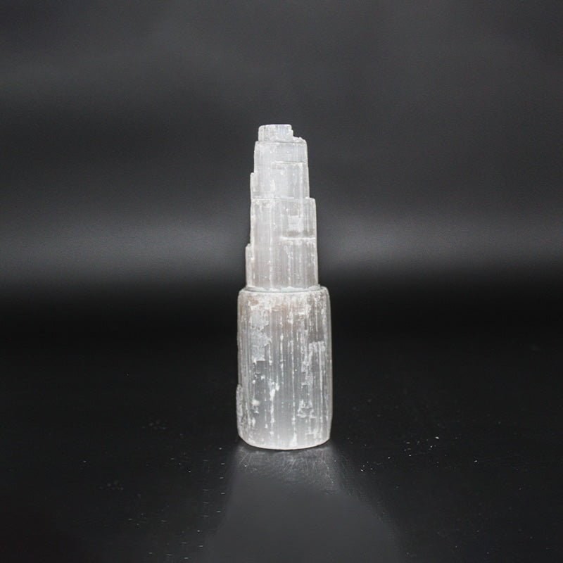 Tour de SELENITE