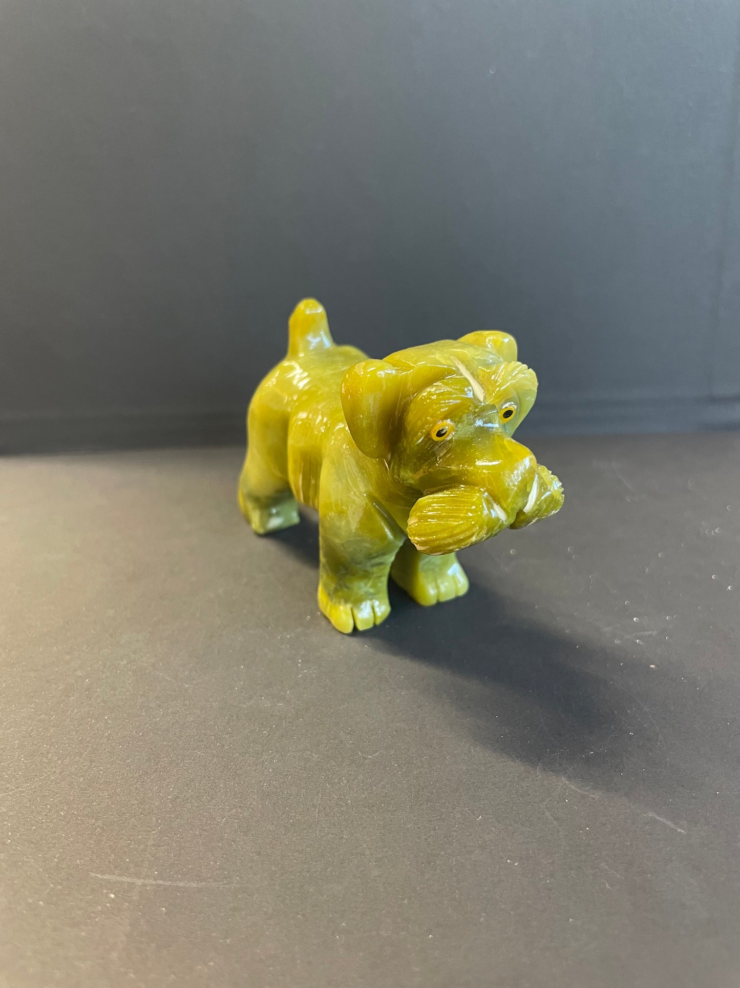 CHIEN SERPENTINE