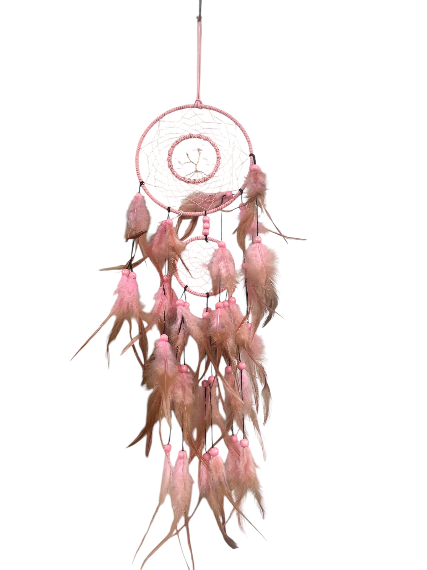 ATTRAPE REVE rose