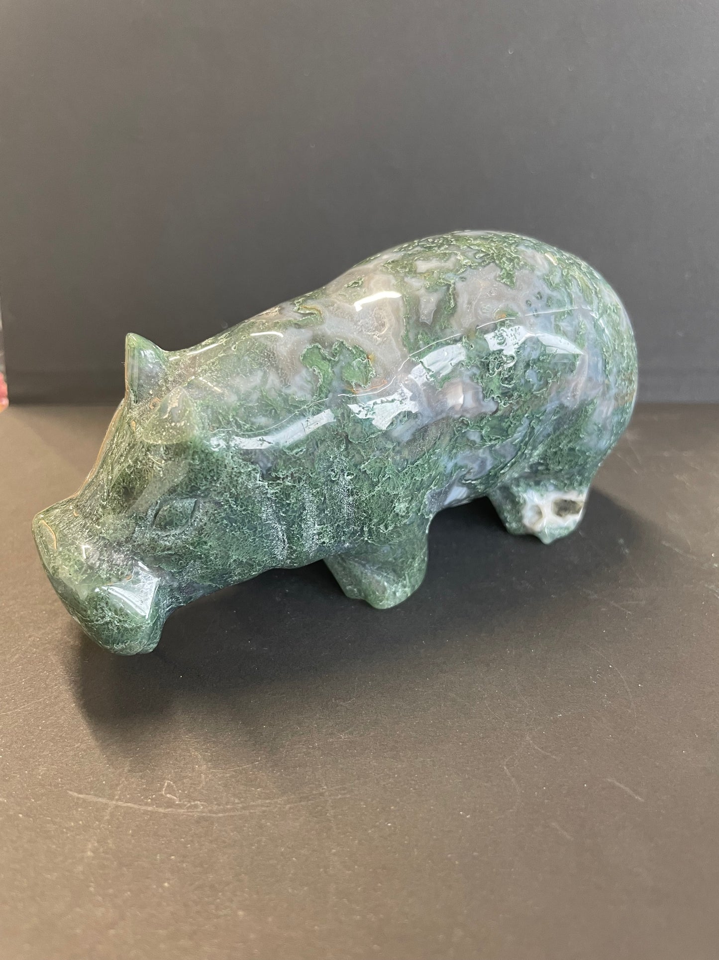 HIPPOPOTAME