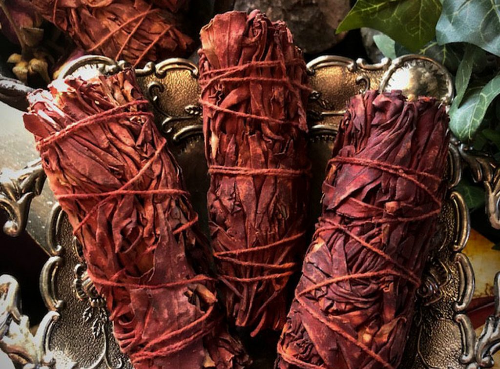 SAUGE SANG DE DRAGON