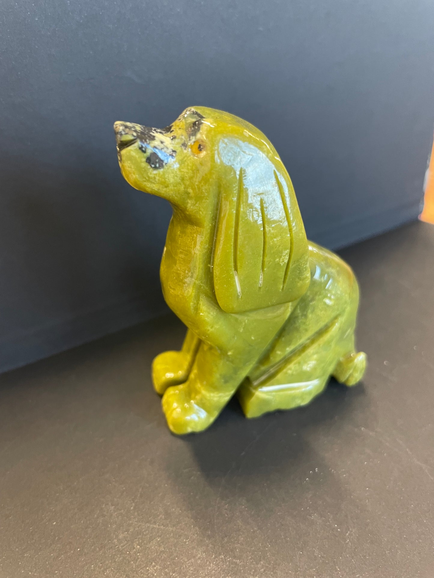 CHIEN  ASSIS SERPENTINE