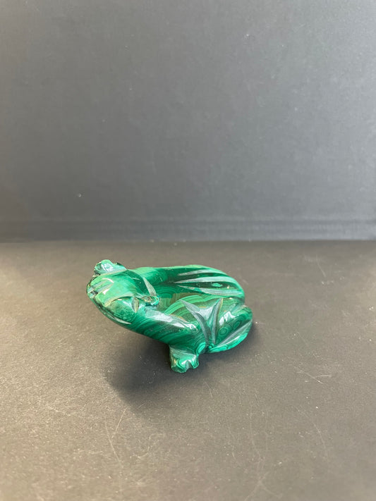 GRENOUILLE