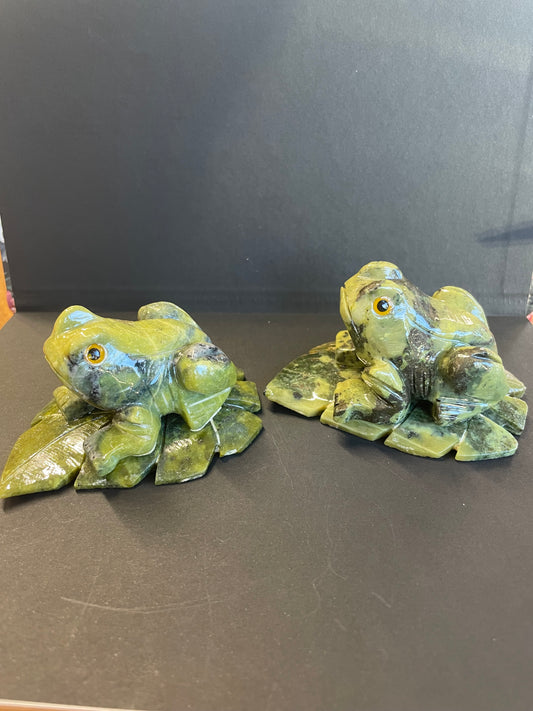 GRENOUILLE SUR FEUILLE SERPENTINE