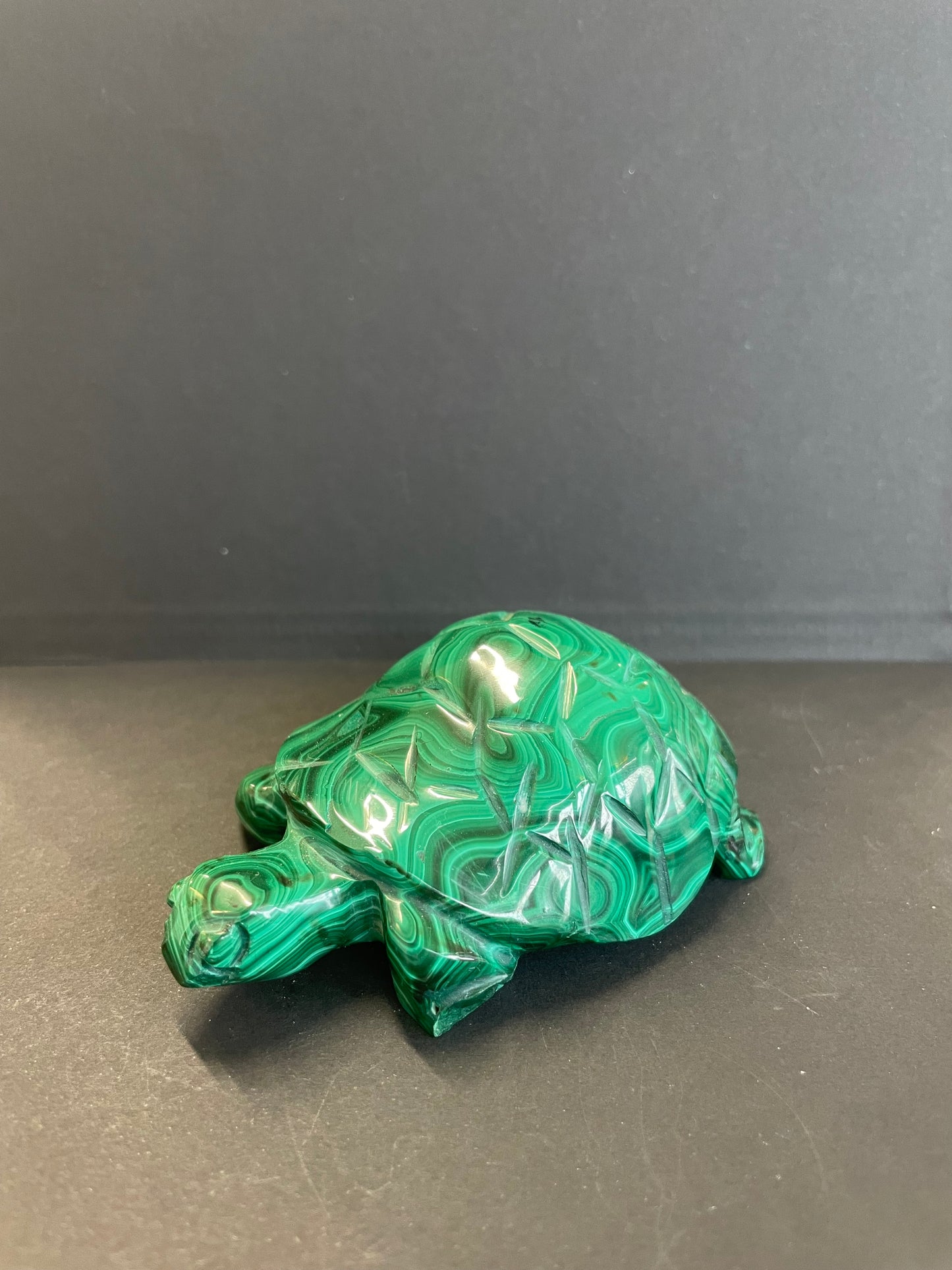 TORTUE