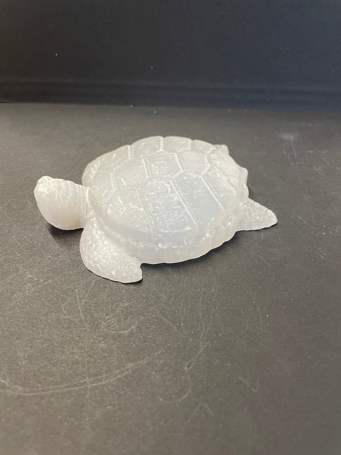 TORTUE