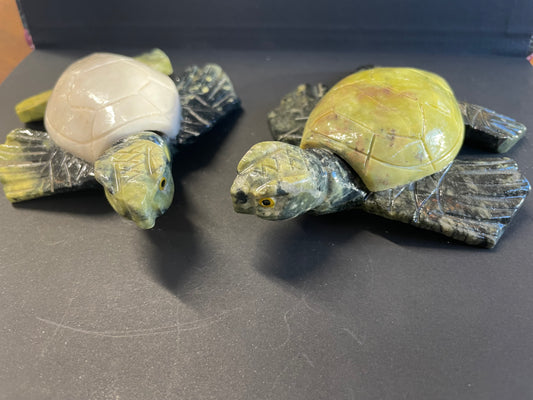 TORTUE SERPENTINE
